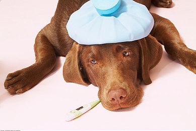 新作格斗游戏『饿狼传说 City of the Wolves』「牙刀」即将参战！